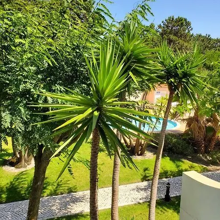 Cantinho Da Carminho Amoreira (Leiria)