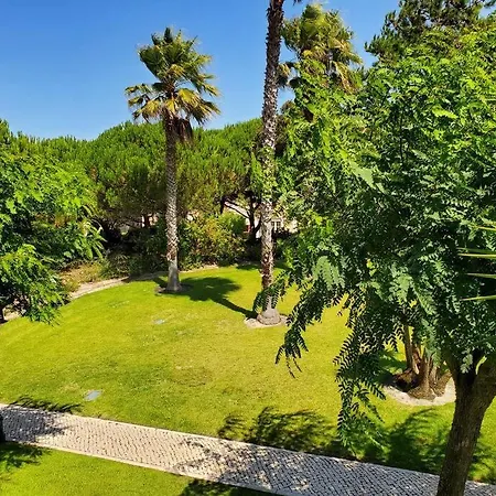 Cantinho Da Carminho