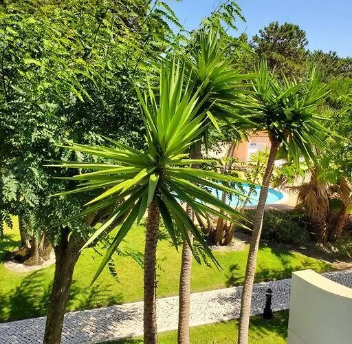 Cantinho Da Carminho Amoreira (Leiria)
